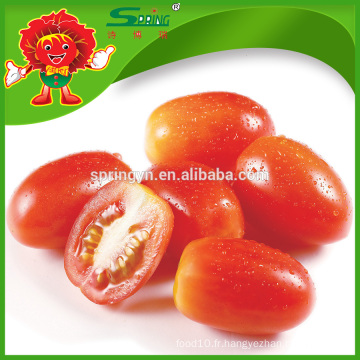 TOMATES DE CHERRY FRAIS